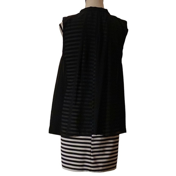 LAVENA- black & white stripe sleeveless dress with sheer black swing overlay - Picture 4 of 9